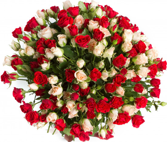 Букеты из роз Букет из 55 кустовых роз